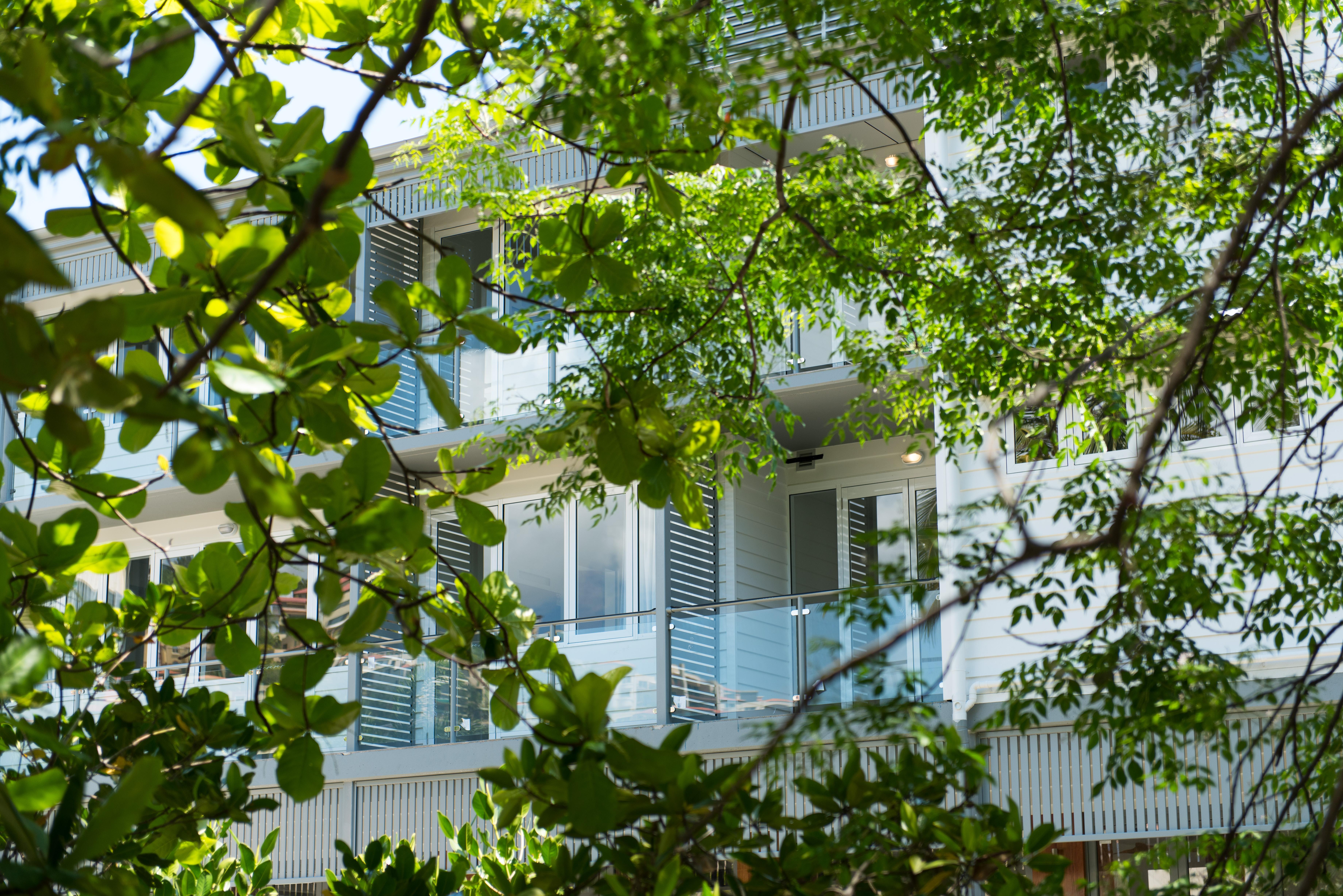 Heart Hotel And Gallery Whitsundays Еърли Бийч Екстериор снимка