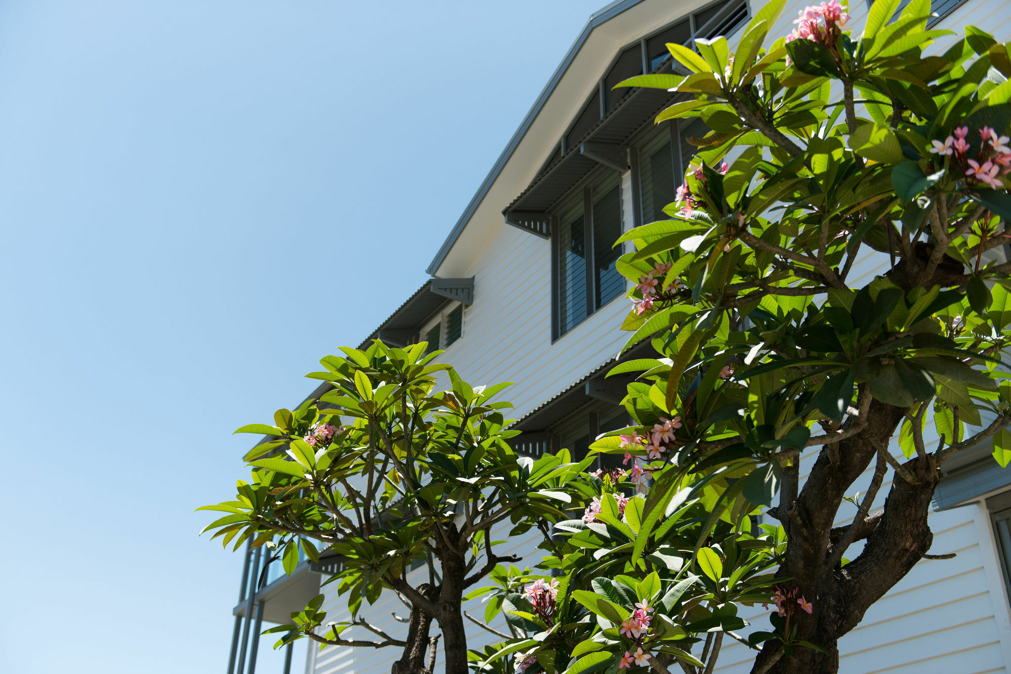 Heart Hotel And Gallery Whitsundays Еърли Бийч Екстериор снимка