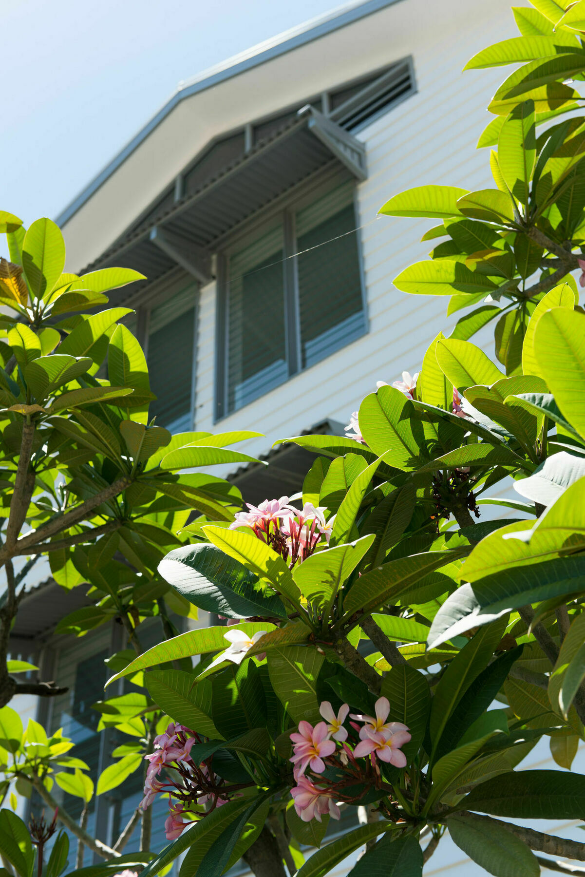 Heart Hotel And Gallery Whitsundays Еърли Бийч Екстериор снимка